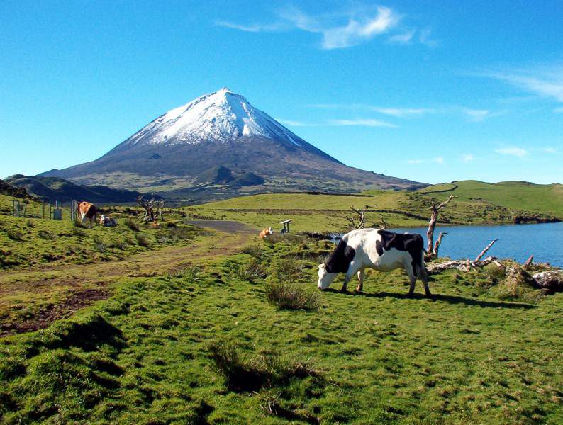 House in Sao Roque do Pico Azores