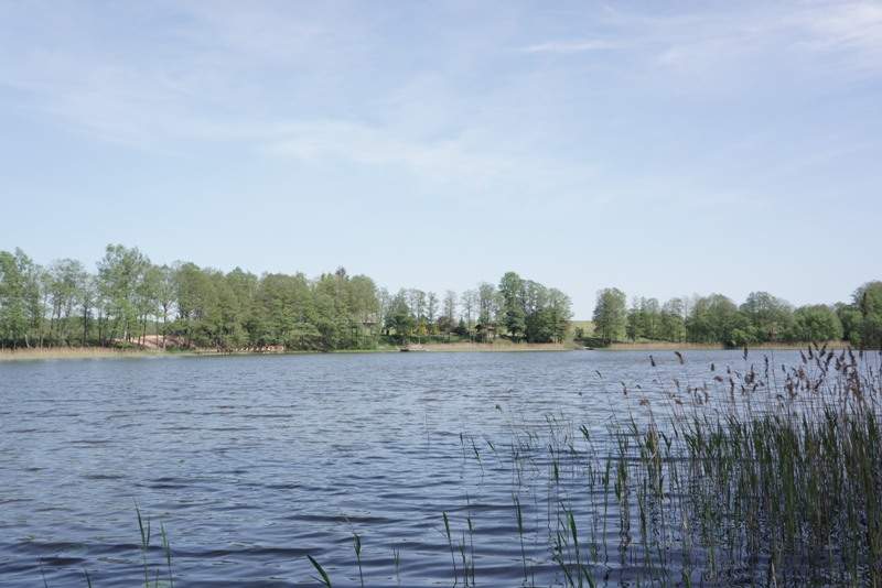 A Land Plot On The Shore, Moletai District