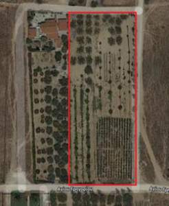 5.732 m² land, great view, near sea, archaeological sites,